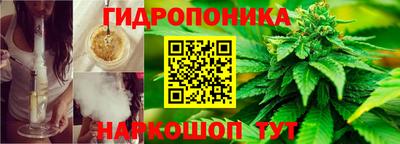 круглые Бийск