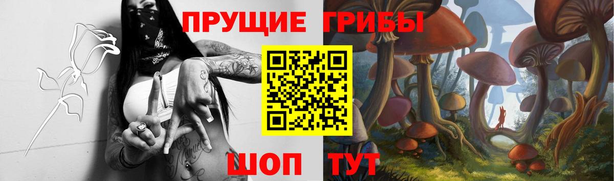 Галлюциногенные грибы мицелий Верхняя Салда
